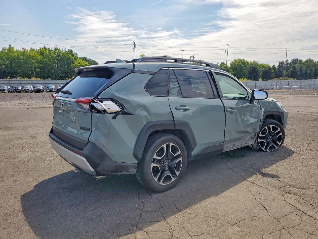2019 Toyota Rav4 Adventure - Фото 3