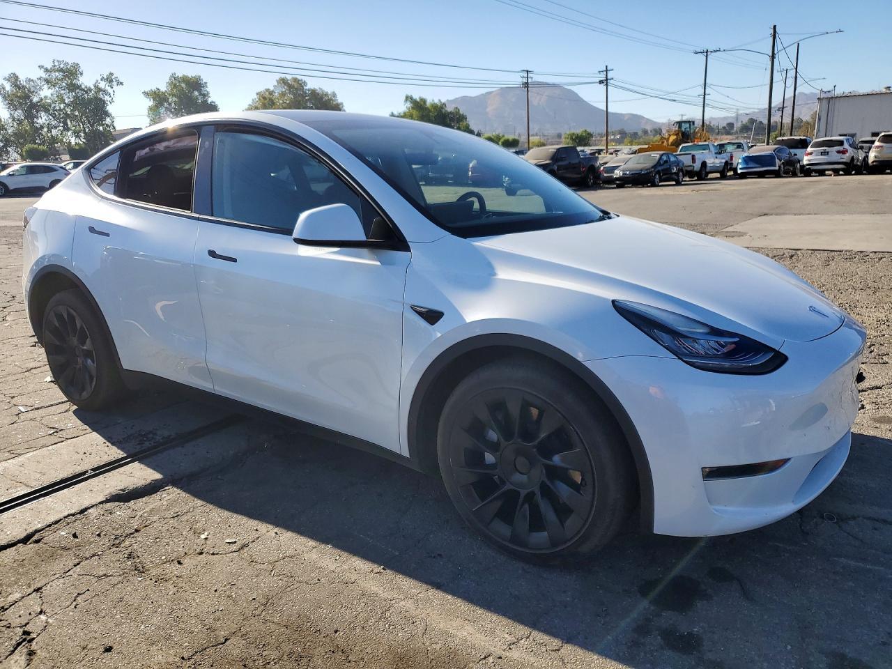 2023 Tesla Model Y - Фото 4