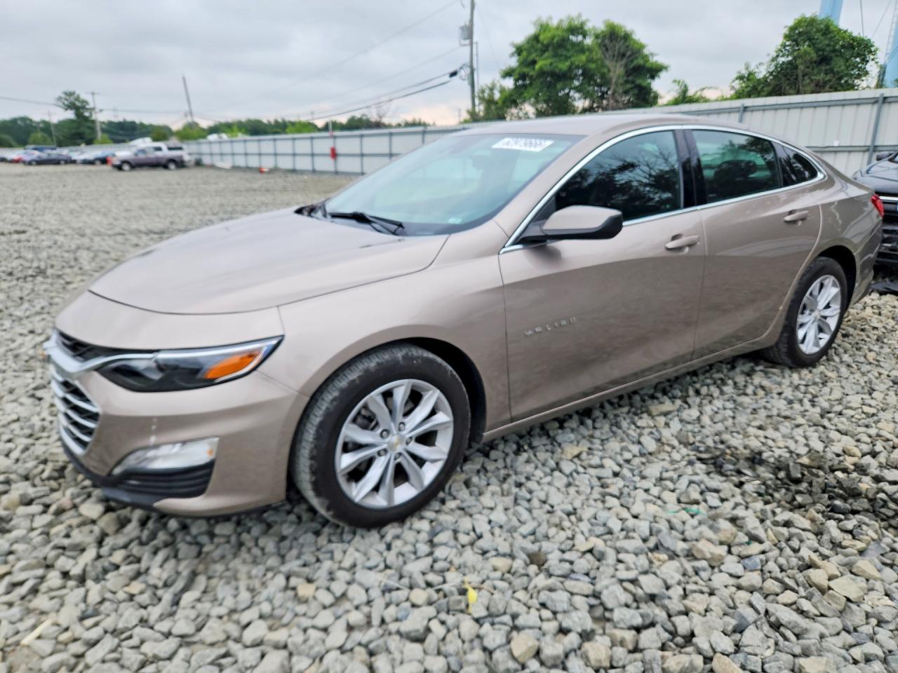 2025 Chevrolet Malibu Lt