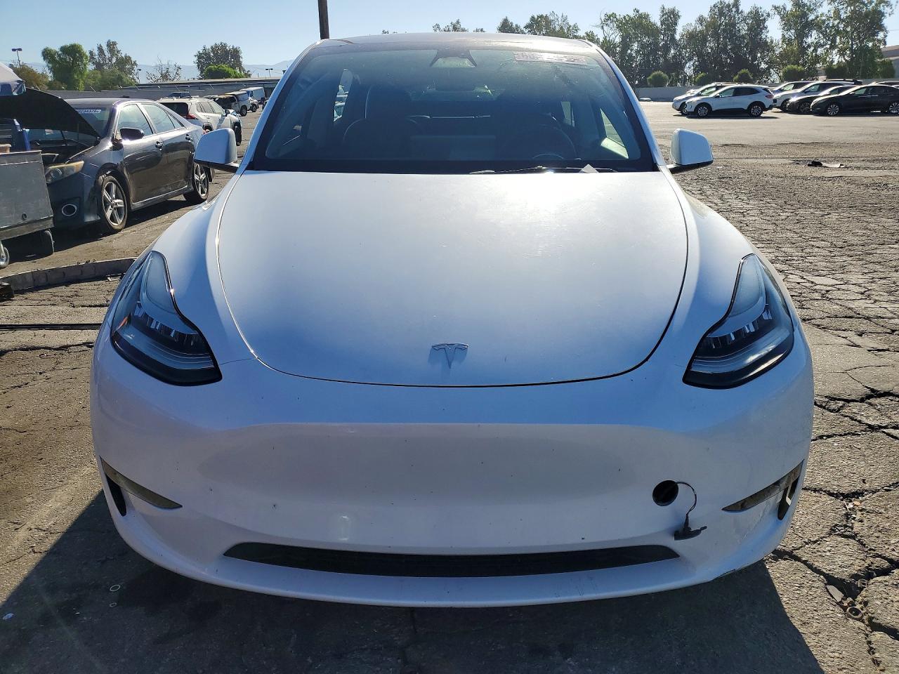2023 Tesla Model Y - Фото 5