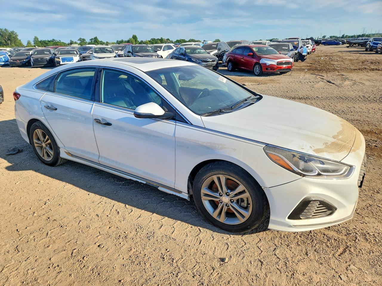 2019 Hyundai Sonata Sport - Фото 4