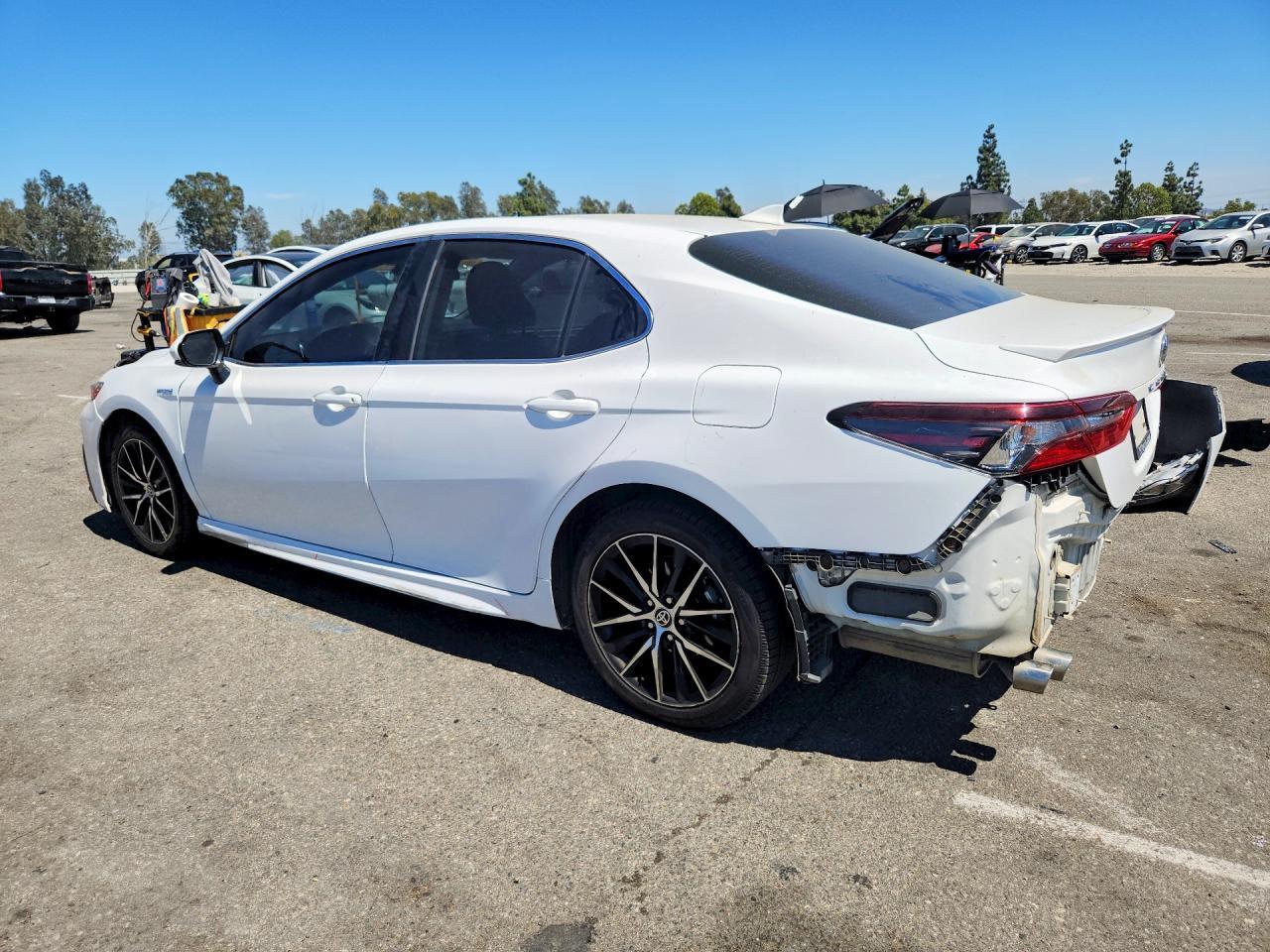 2021 Toyota Camry Se - Фото 2