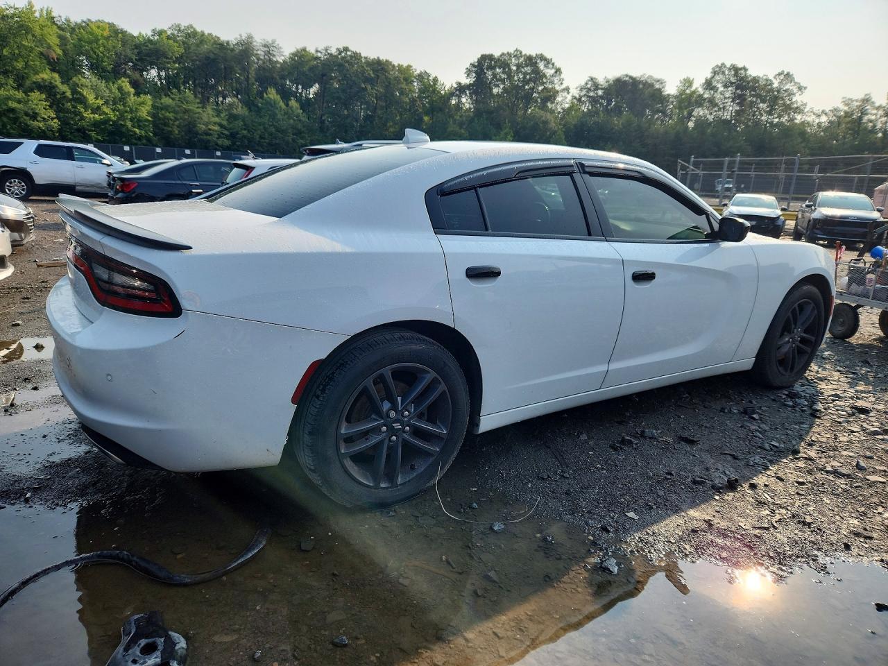 2019 Dodge Charger Sxt - Фото 3
