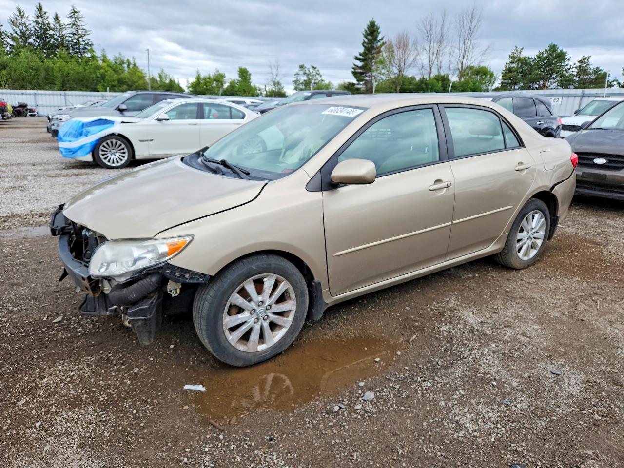 2010 Toyota Corolla Le