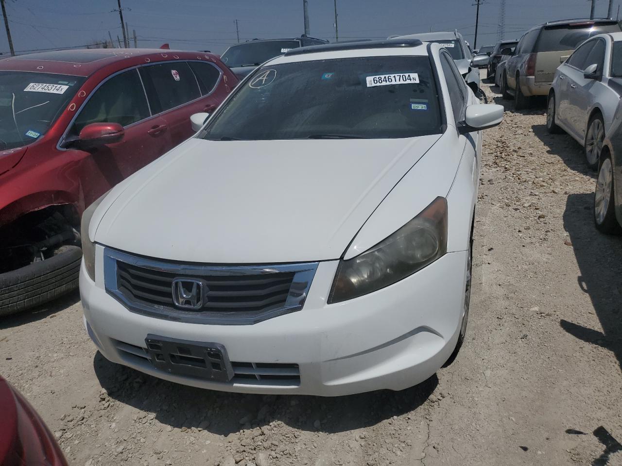 2008 Honda Accord Exl - Image 5