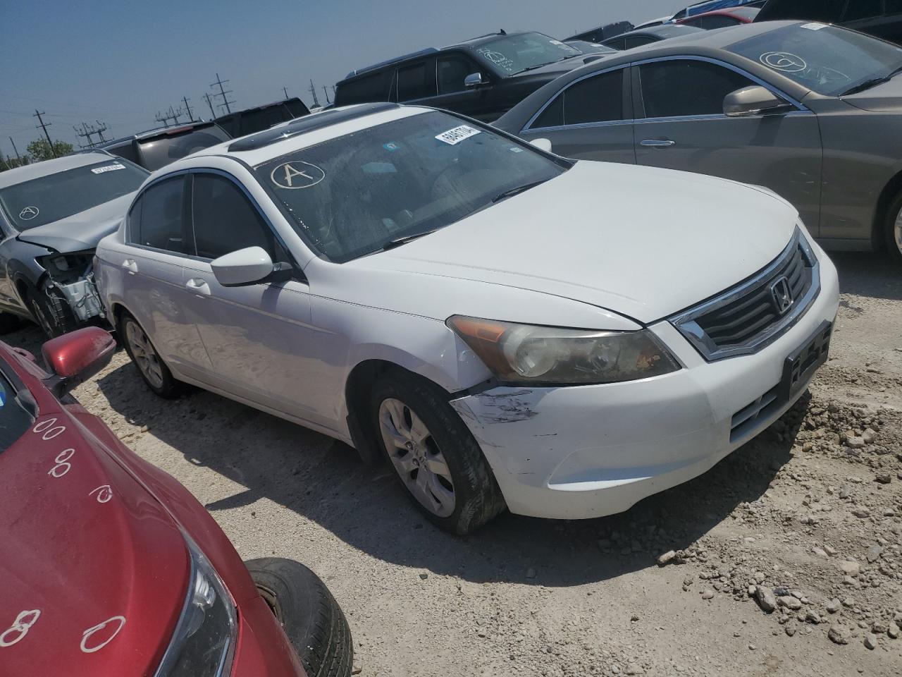 2008 Honda Accord Exl - Image 4