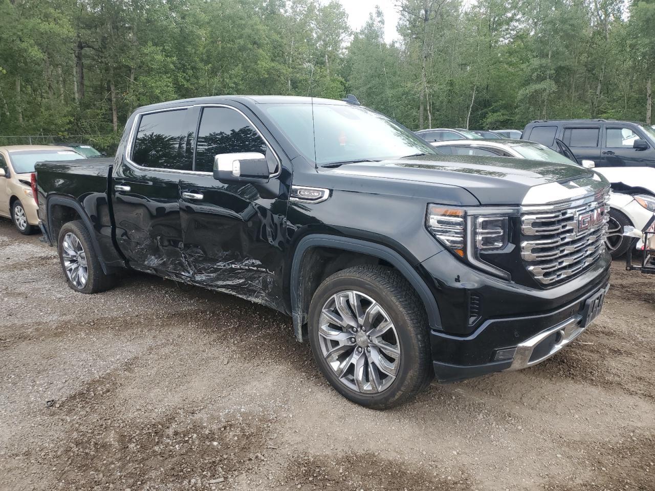 2023 GMC Sierra K1500 Denali - Фото 4