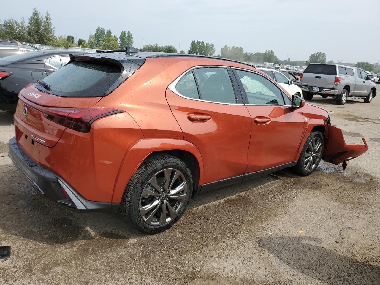 2024 Lexus Ux 250H Premium - Фото 3