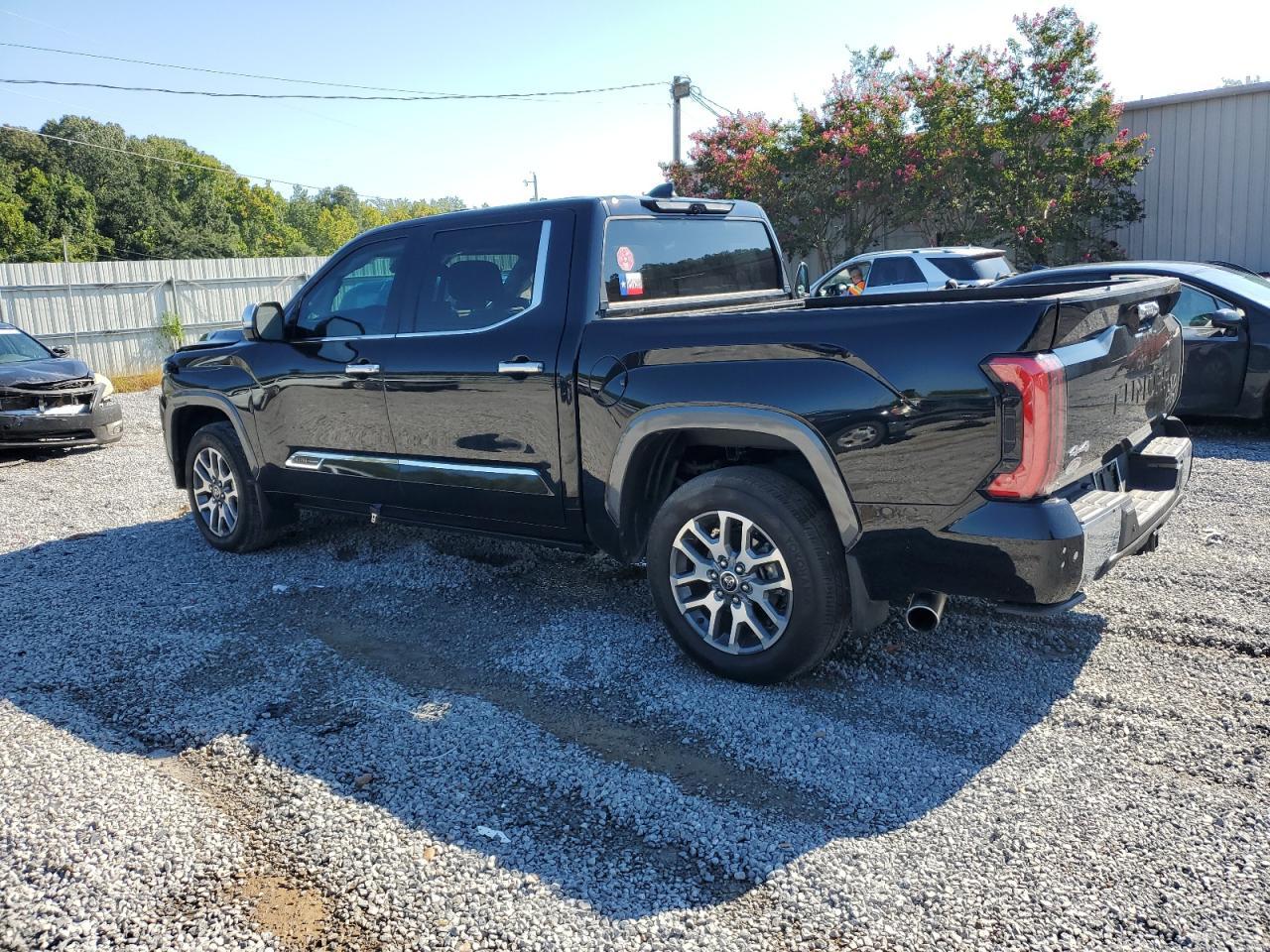 2024 Toyota Tundra Crewmax Platinum - Фото 2