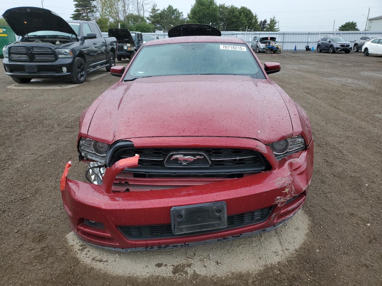 2014 Ford Mustang - Фото 5