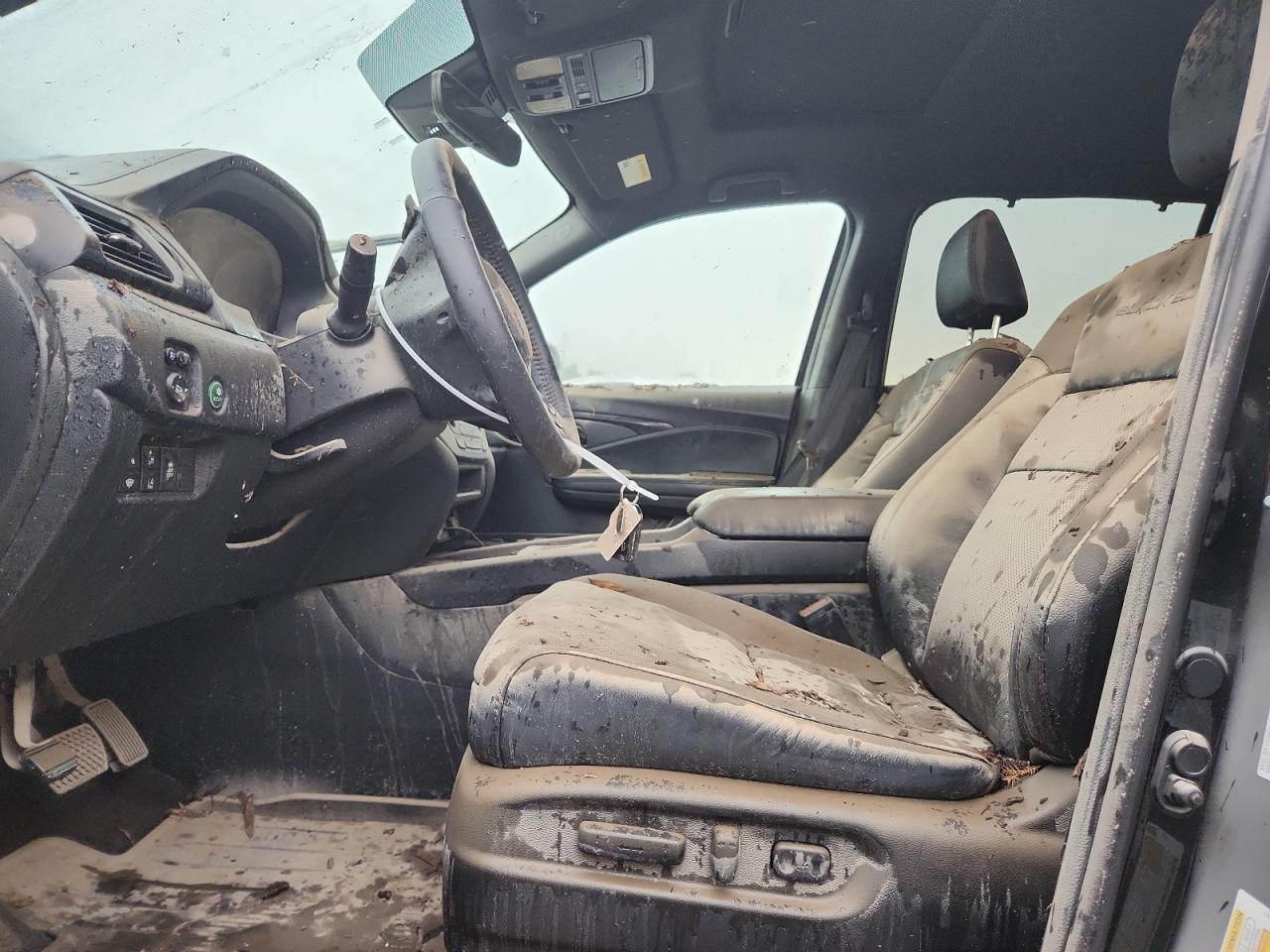 2025 Honda Passport Black Edition - Фото 7