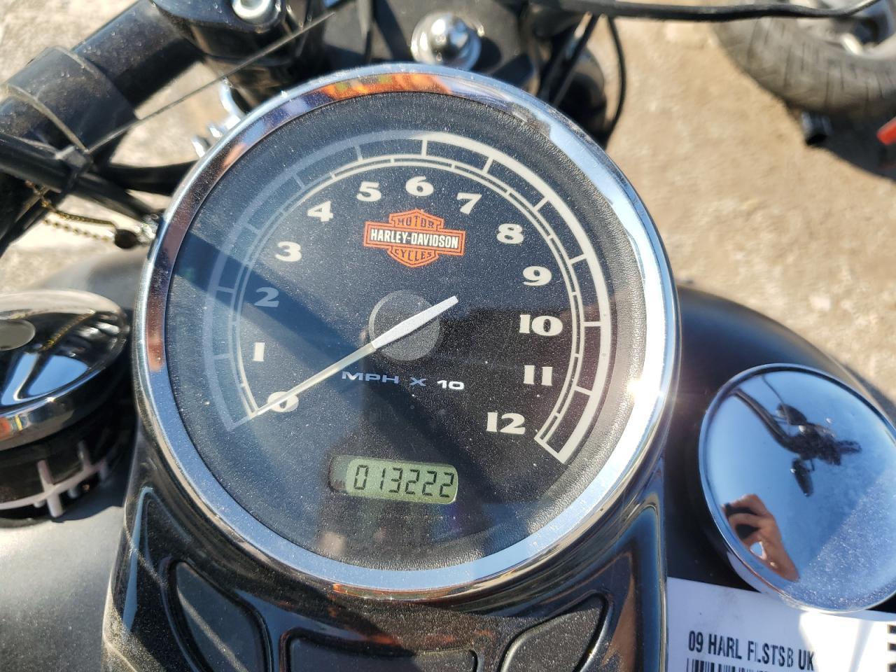 2009 Harley-Davidson Flstsb - Фото 7