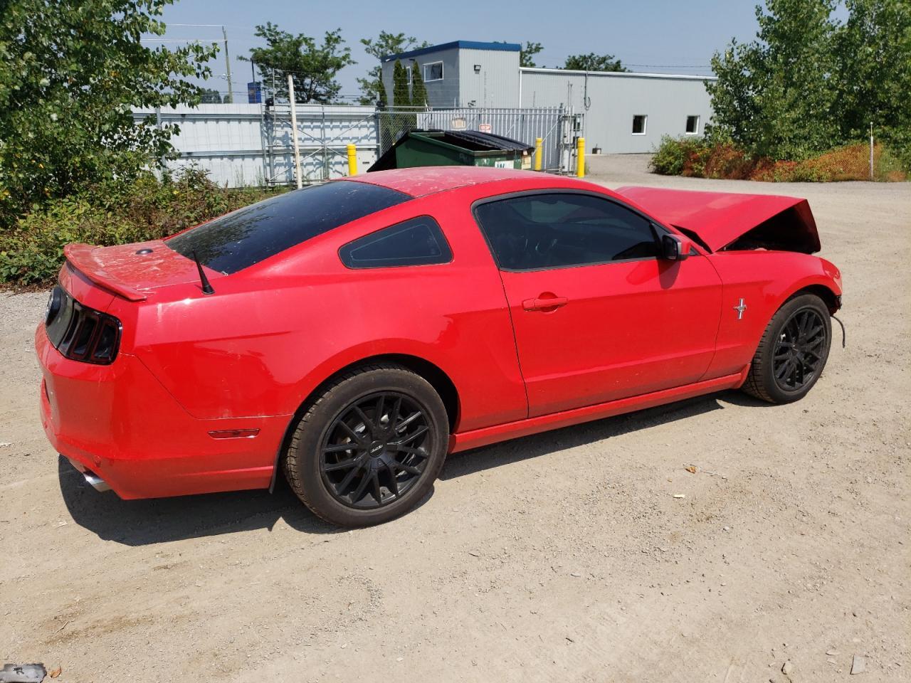 2014 Ford Mustang - Фото 3