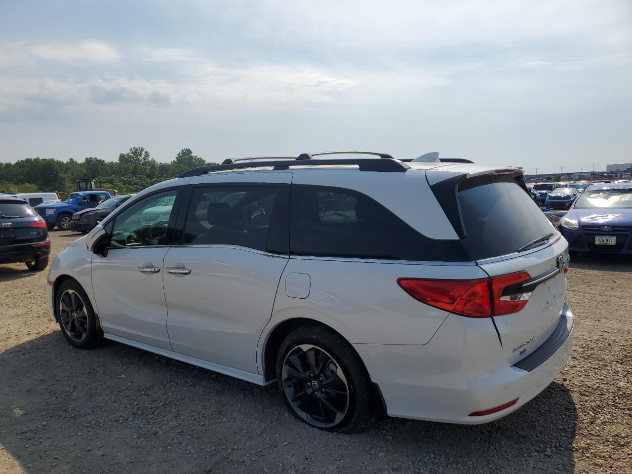 2023 Honda Odyssey Elite - Image 2