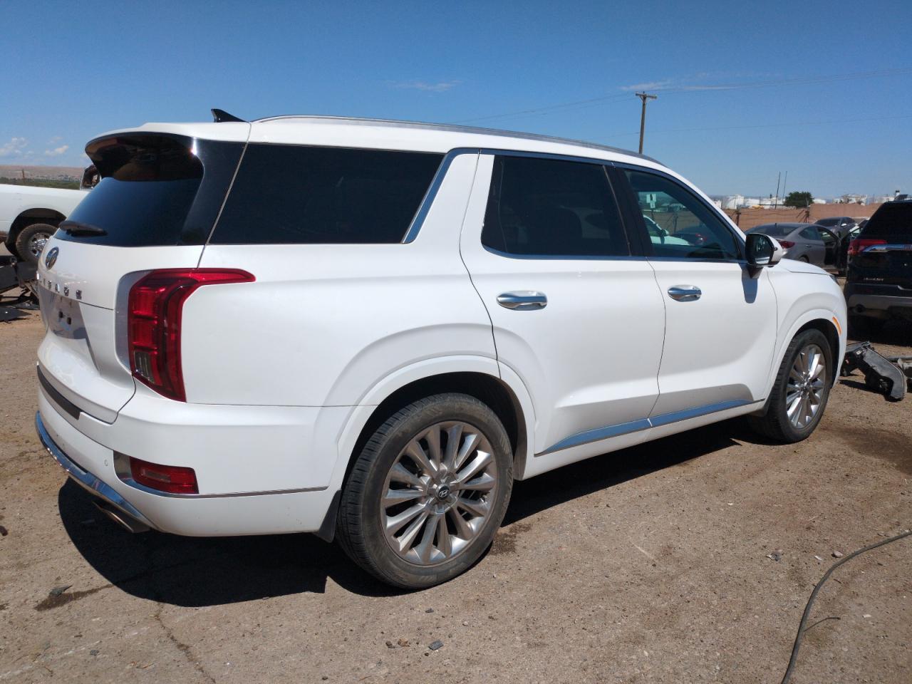2020 Hyundai Palisade Limited - Фото 3