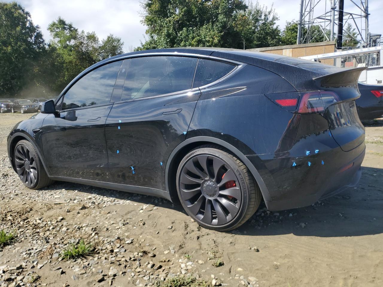 2023 Tesla Model Y - Фото 2