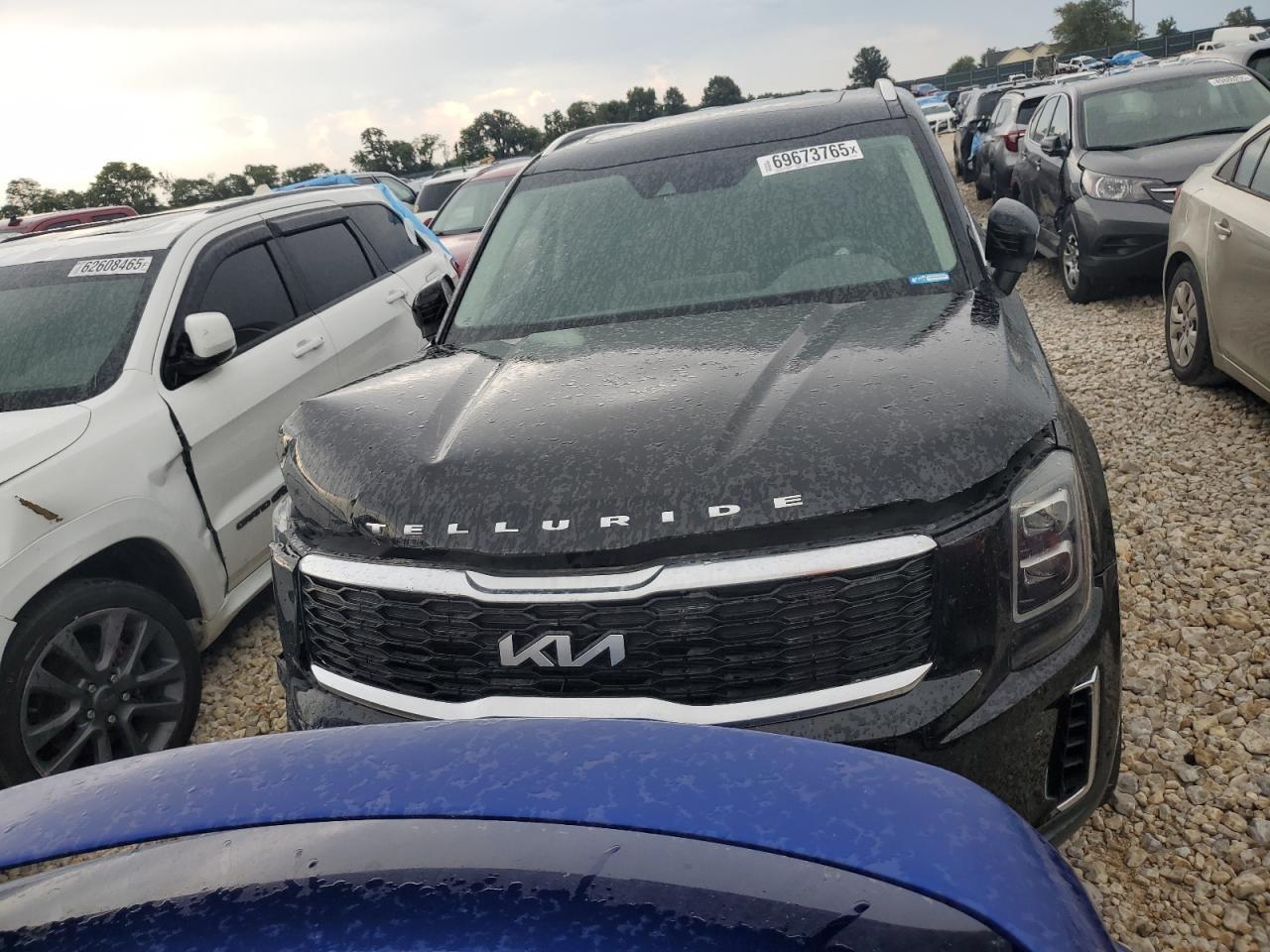 2022 Kia Telluride Ex - Фото 5