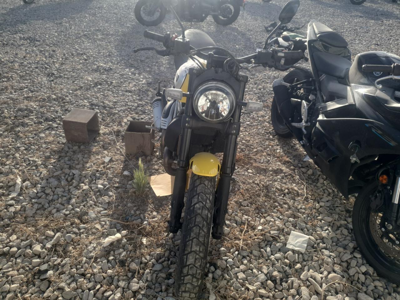 2021 Ducati Scrambler Desert Sled - Фото 2
