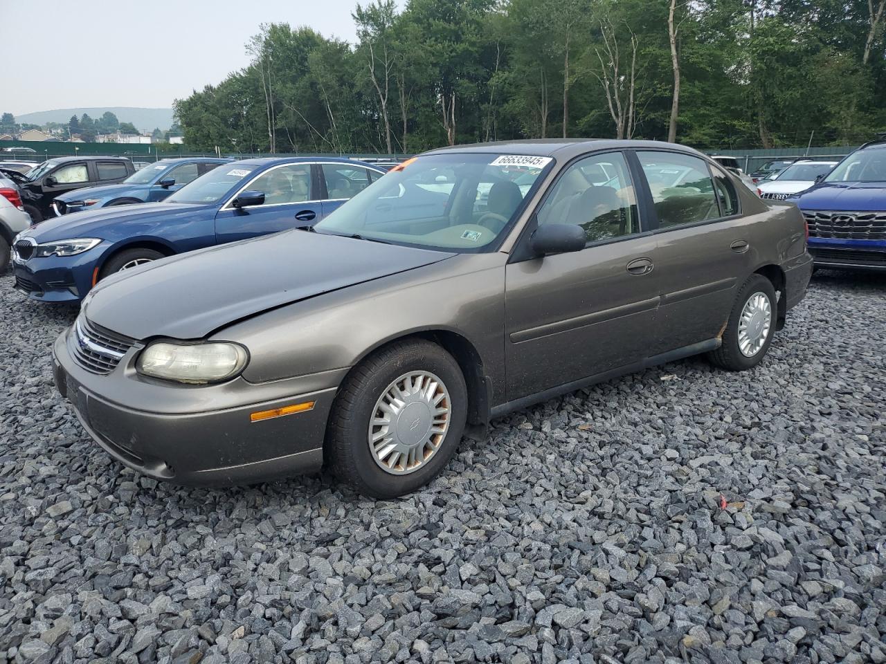 2001 Chevrolet Malibu