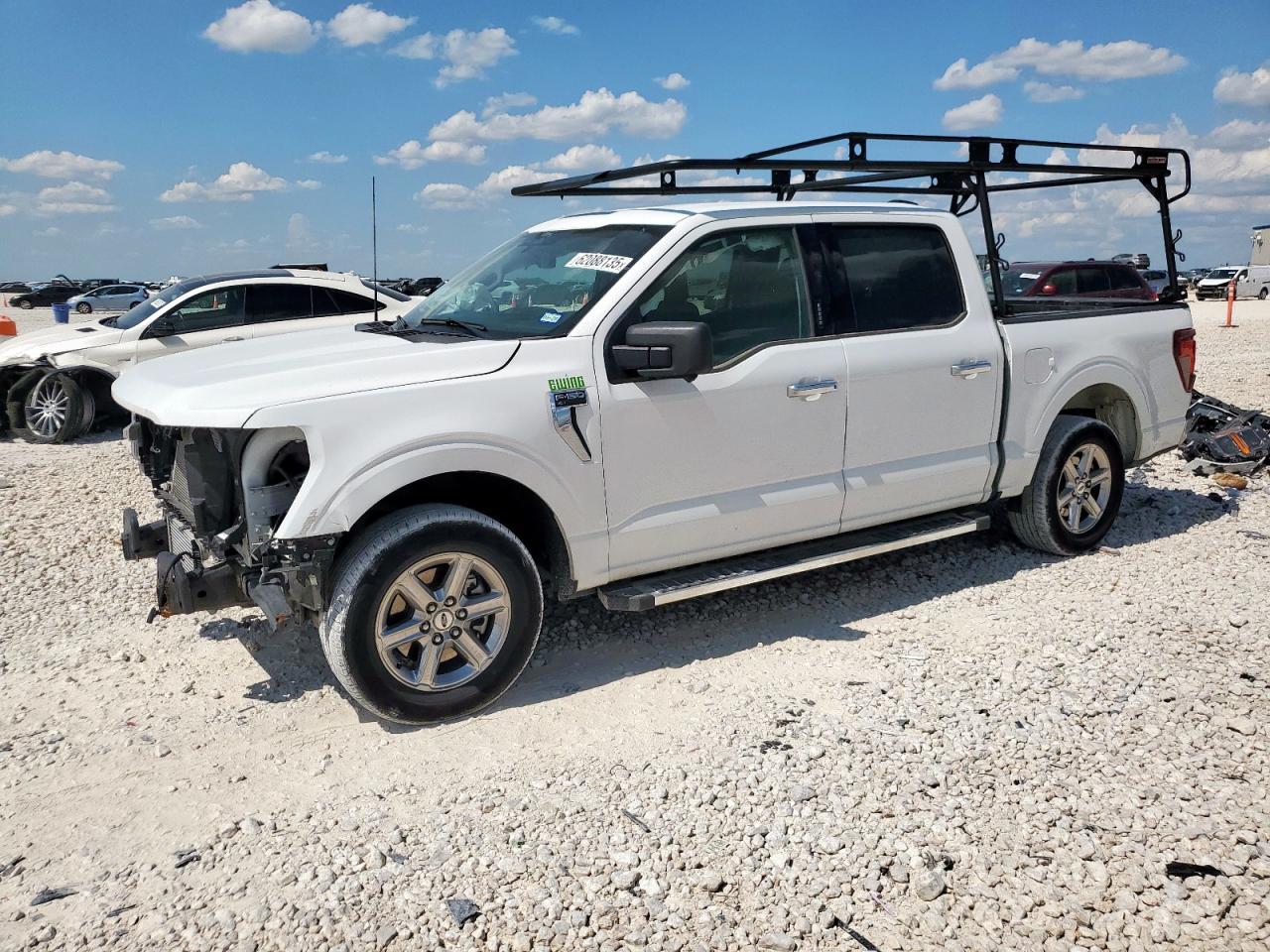 2024 Ford F150 Xlt