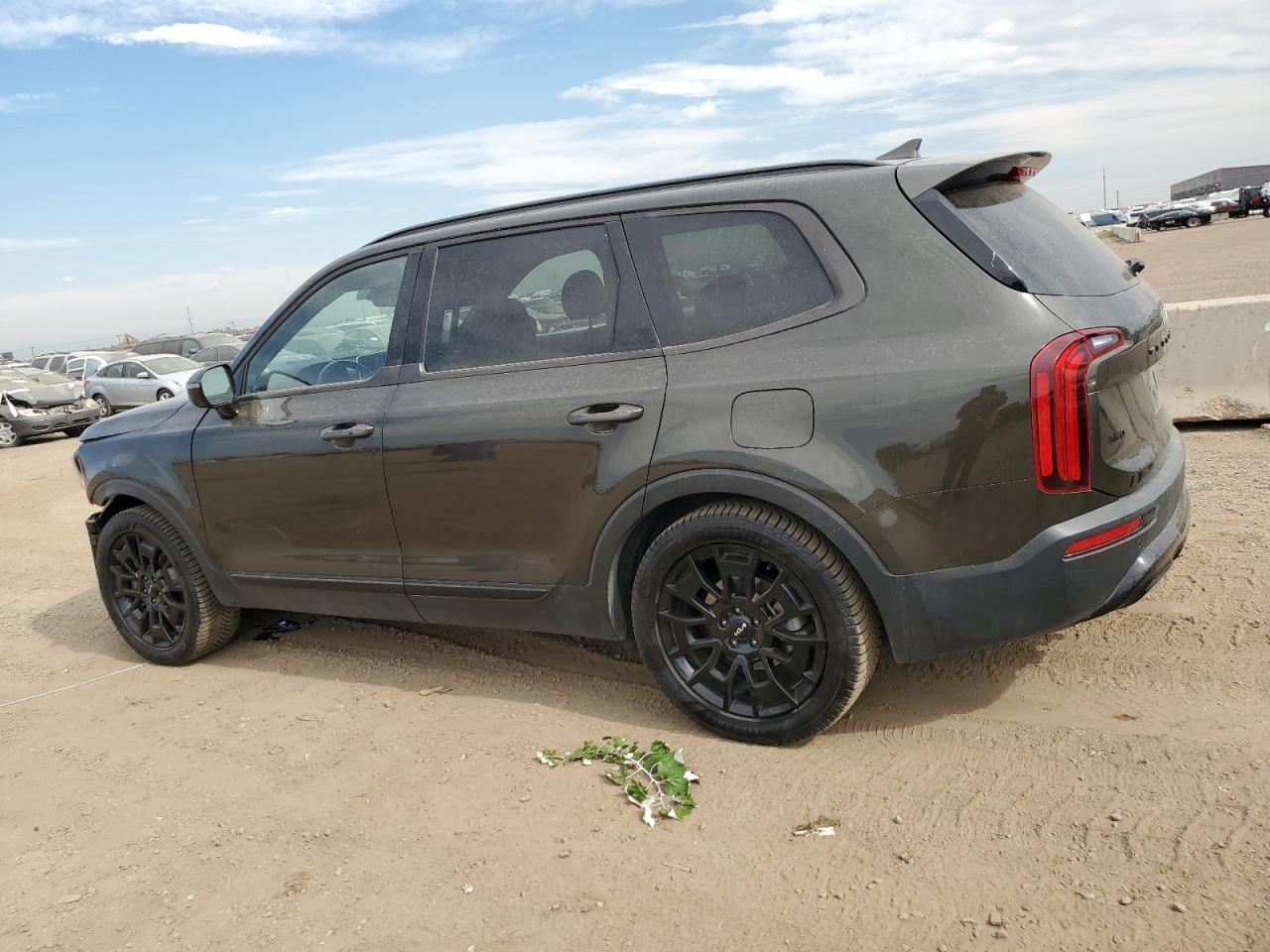 2022 Kia Telluride Sx - Фото 2