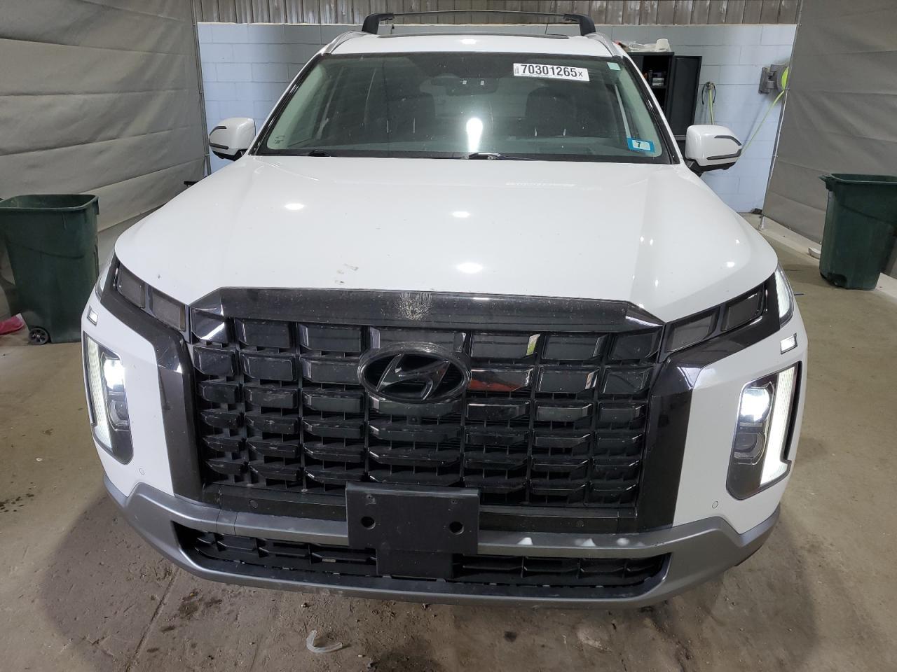 2024 Hyundai Palisade Limited - Фото 5