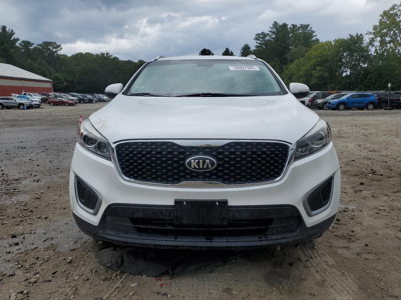2017 Kia Sorento Lx - Фото 5