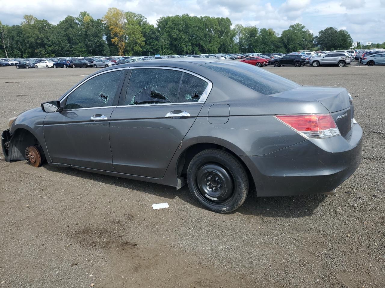 2009 Honda Accord Exl - Фото 2