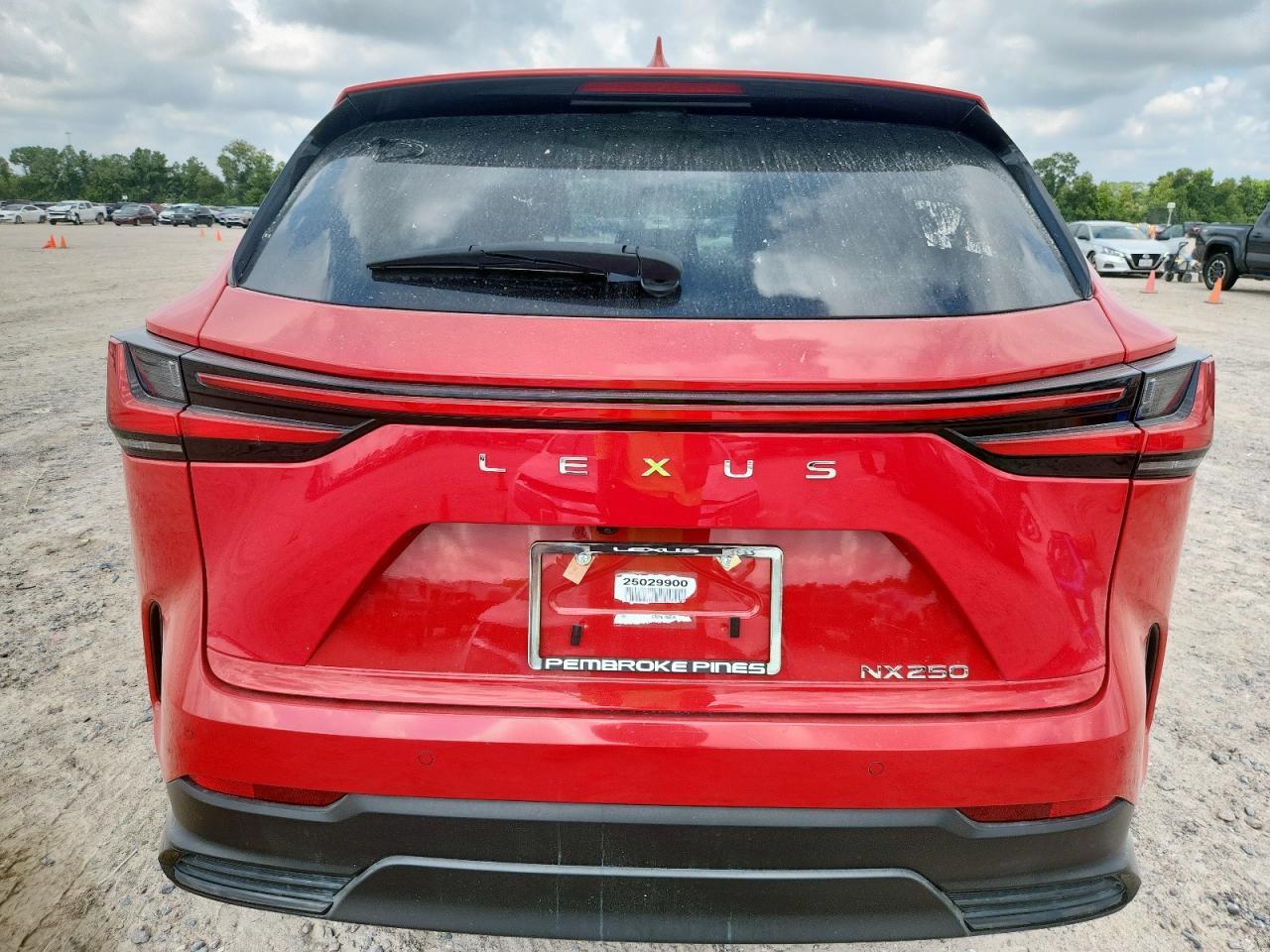 2025 Lexus Nx 250 Premium - Фото 6