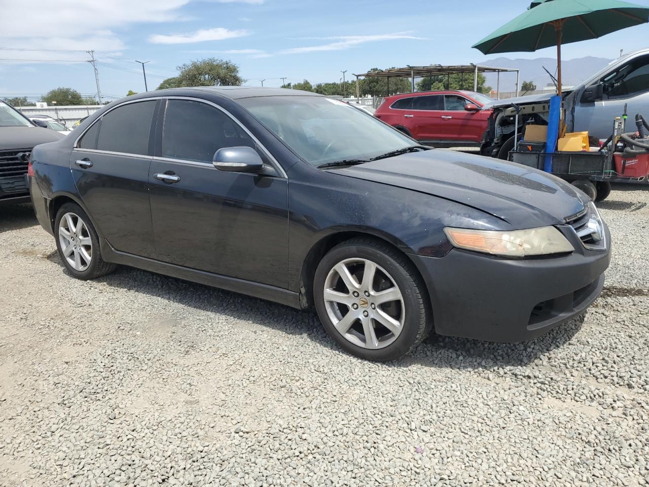2004 Acura Tsx - Фото 4