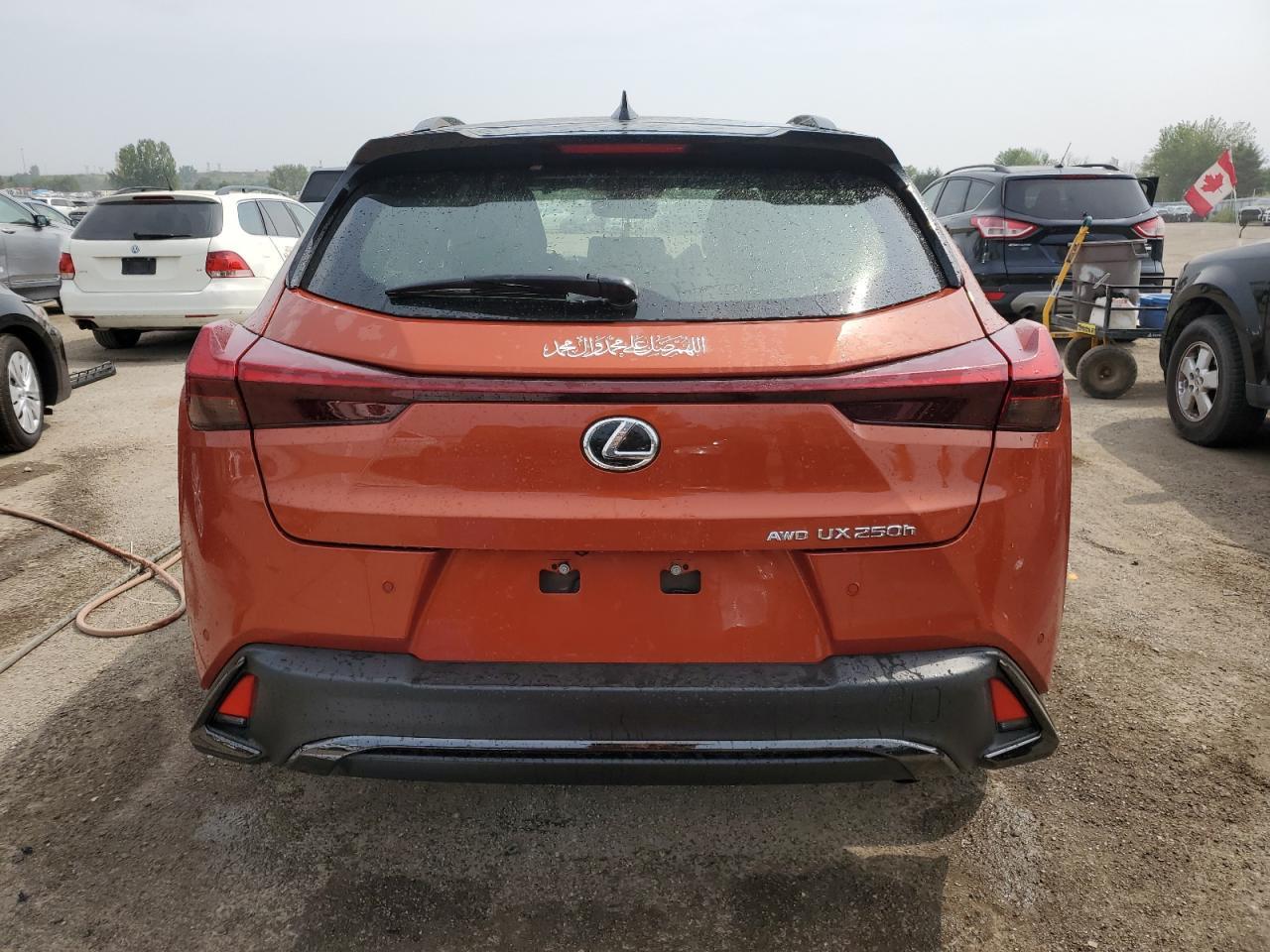 2024 Lexus Ux 250H Premium - Фото 6