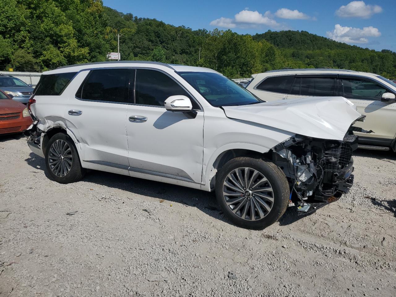 2024 Hyundai Palisade Calligraphy - Фото 4