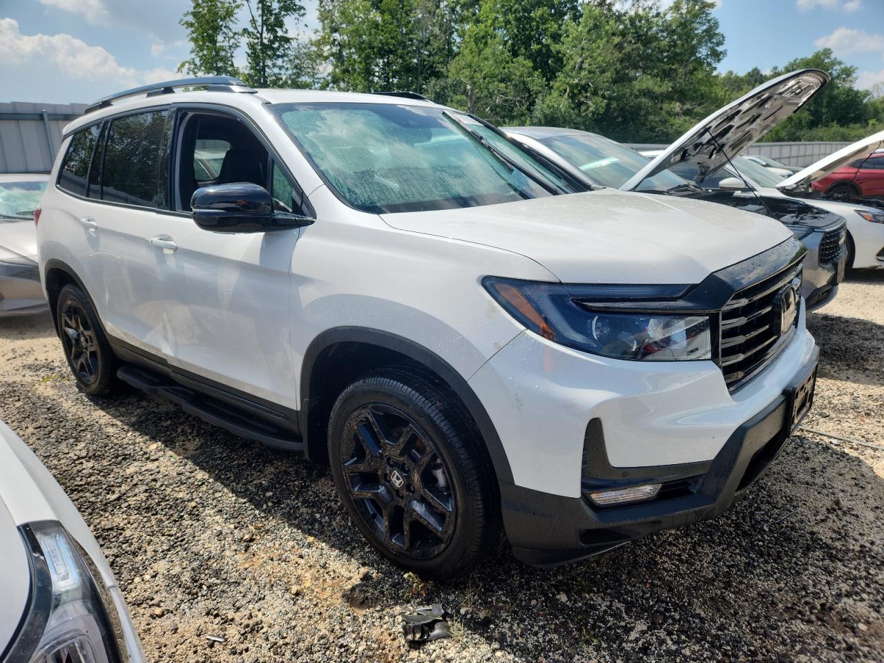 2024 Honda Passport Black Edition - Фото 4