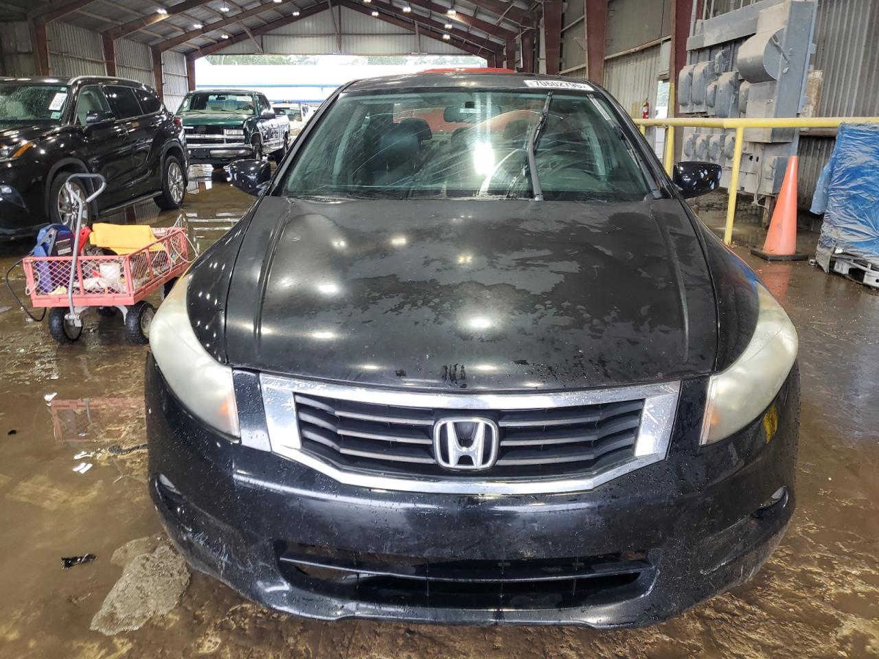 2010 Honda Accord Exl - Фото 5