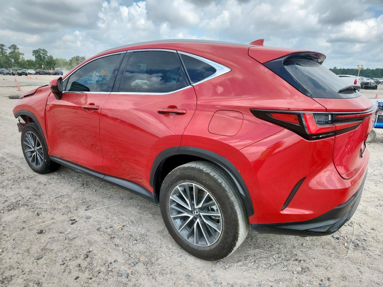 2025 Lexus Nx 250 Premium - Фото 2