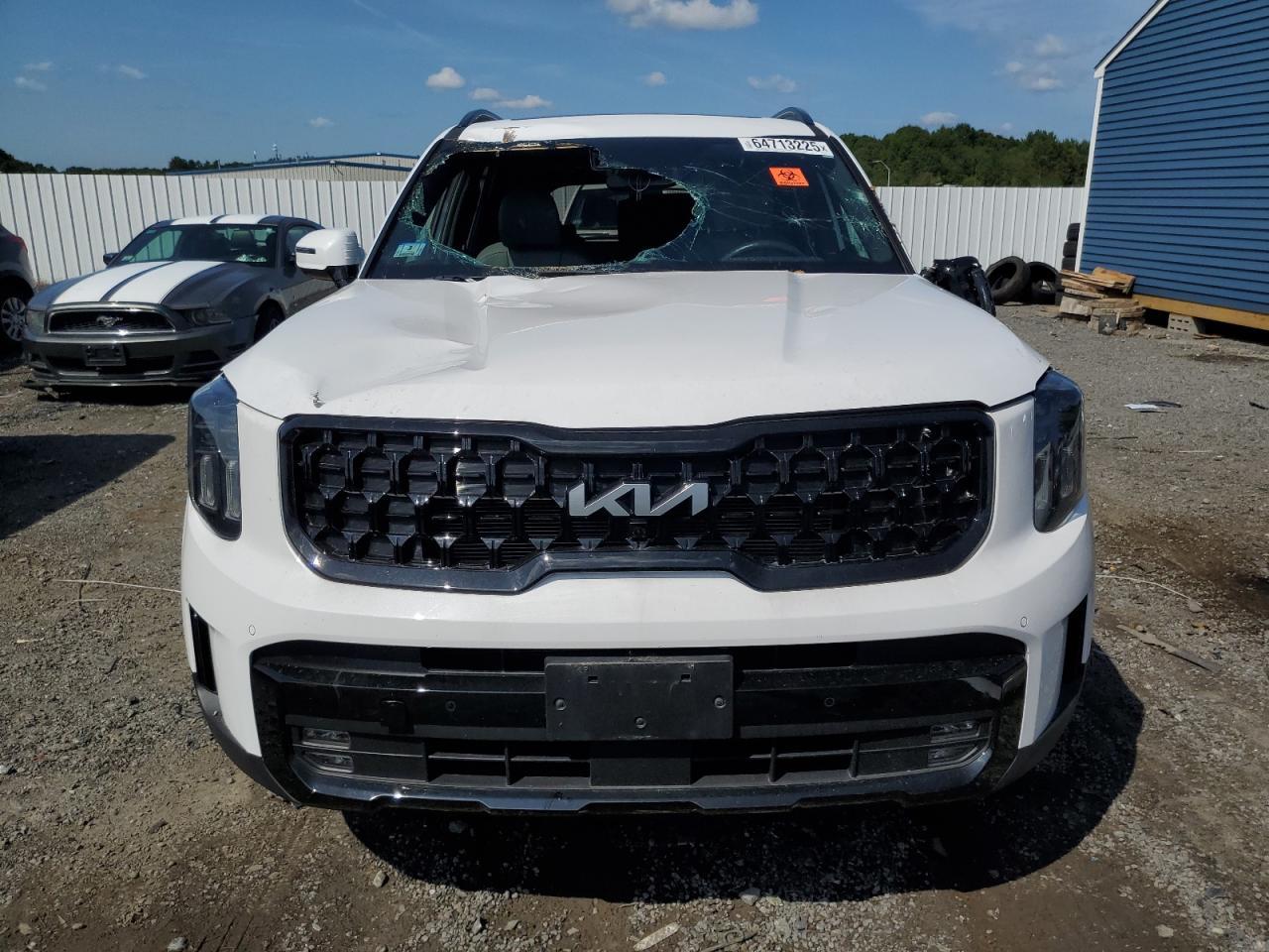 2024 Kia Telluride Sx - Фото 5