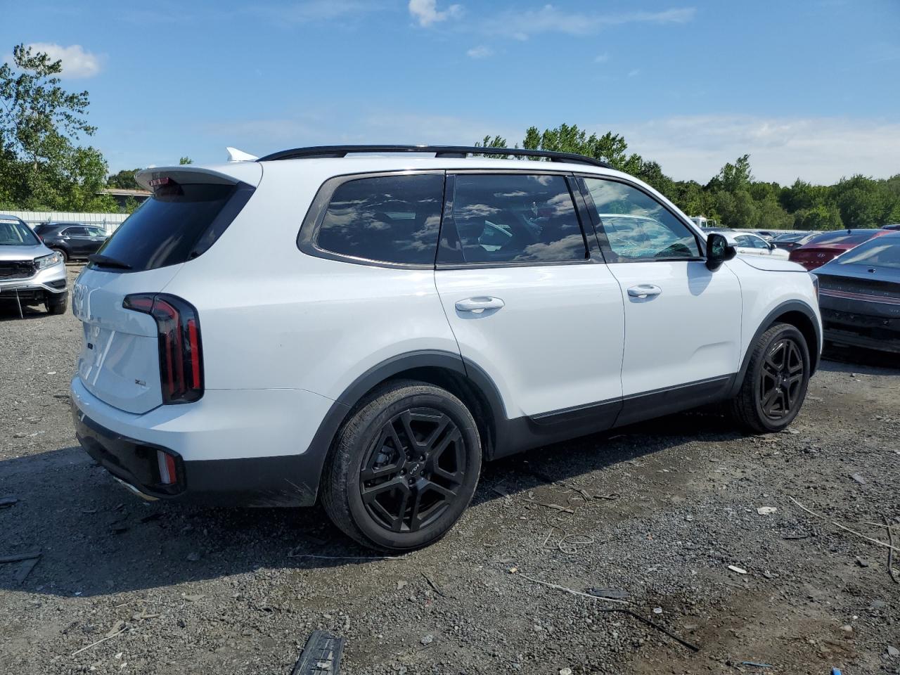 2024 Kia Telluride Sx - Фото 3