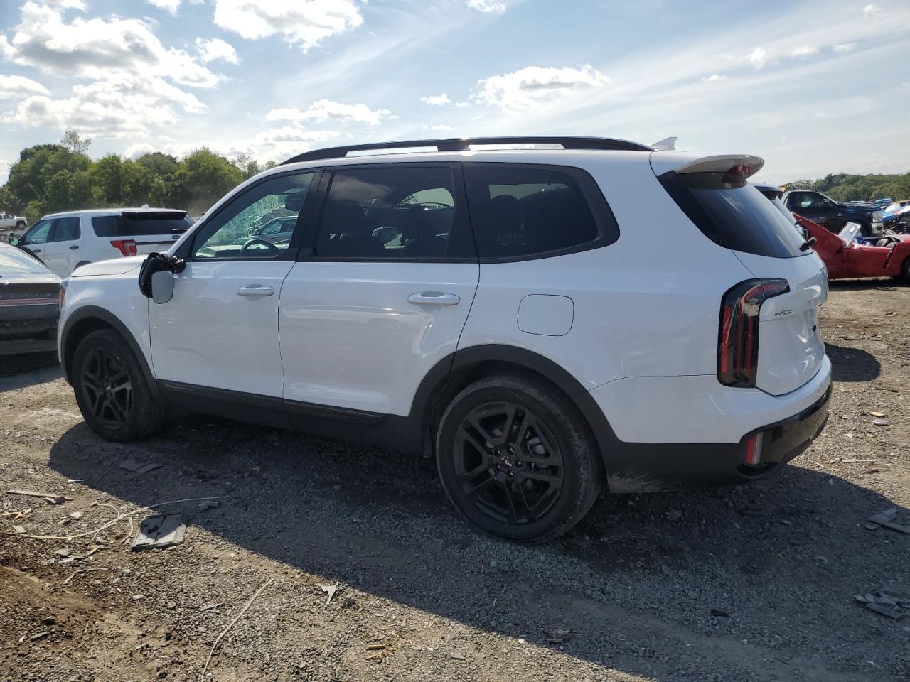 2024 Kia Telluride Sx - Фото 2
