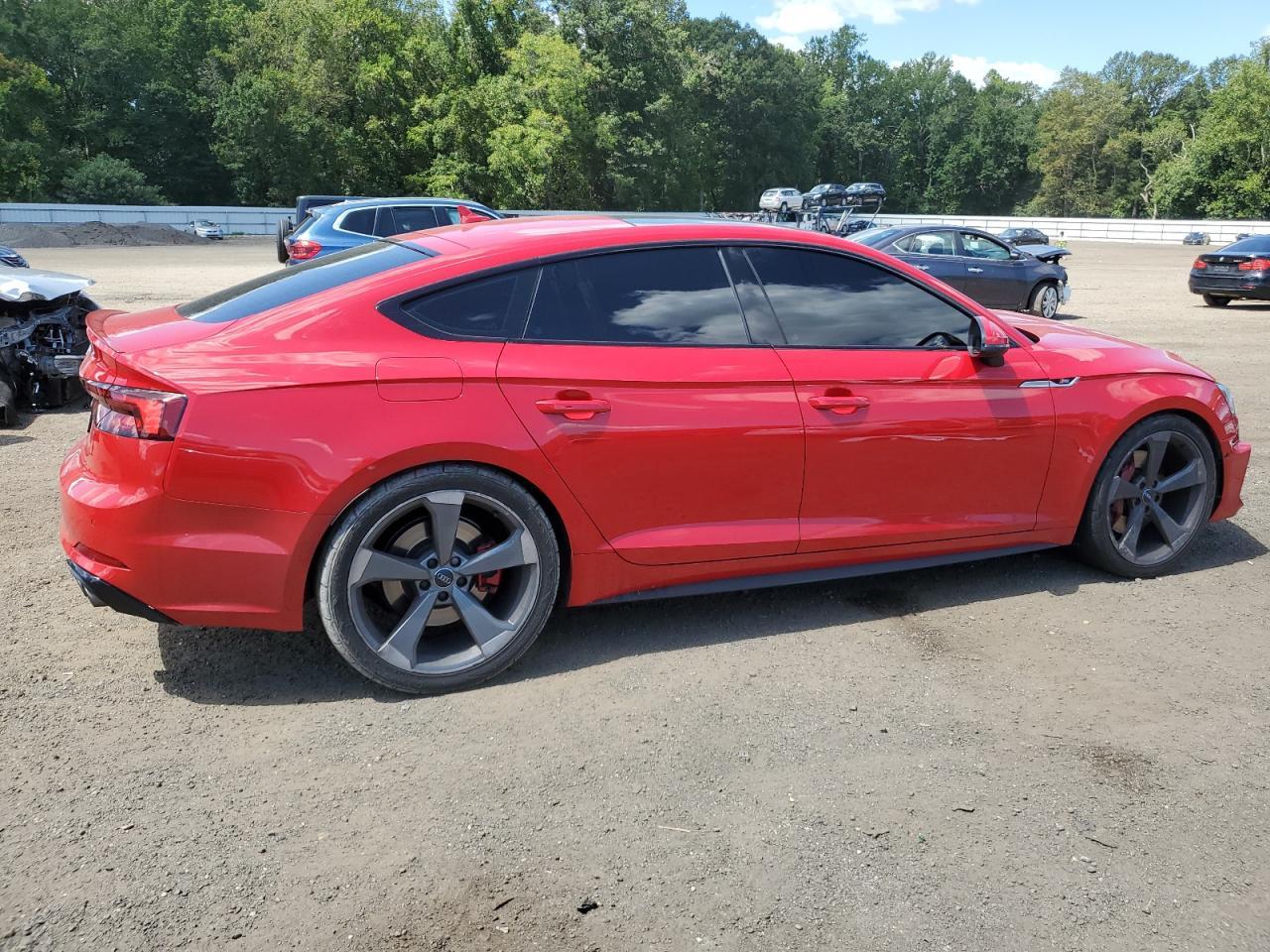 2019 Audi S5 Prestige - Фото 3