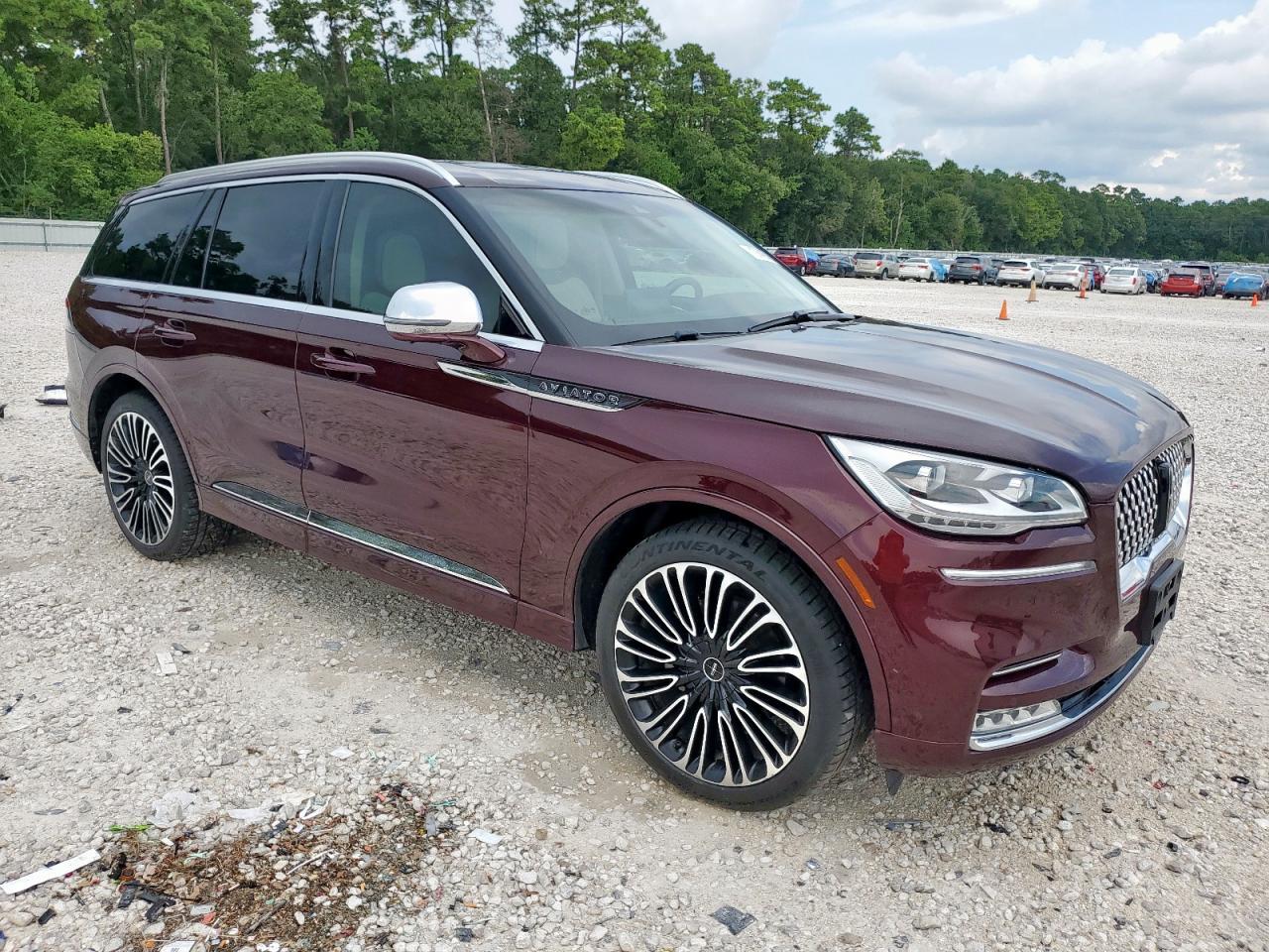 2020 Lincoln Aviator Black Label - Фото 4