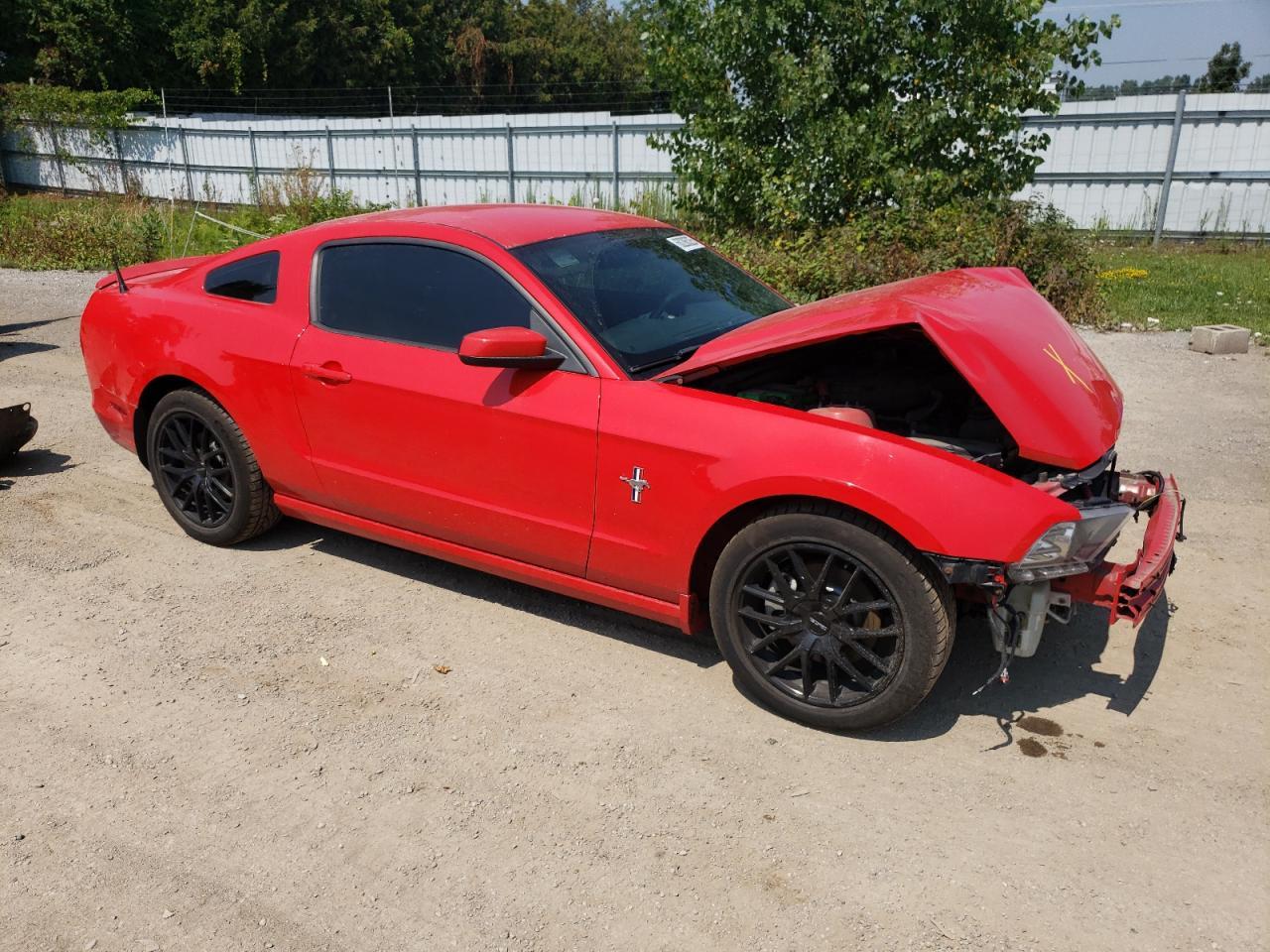 2014 Ford Mustang - Фото 4