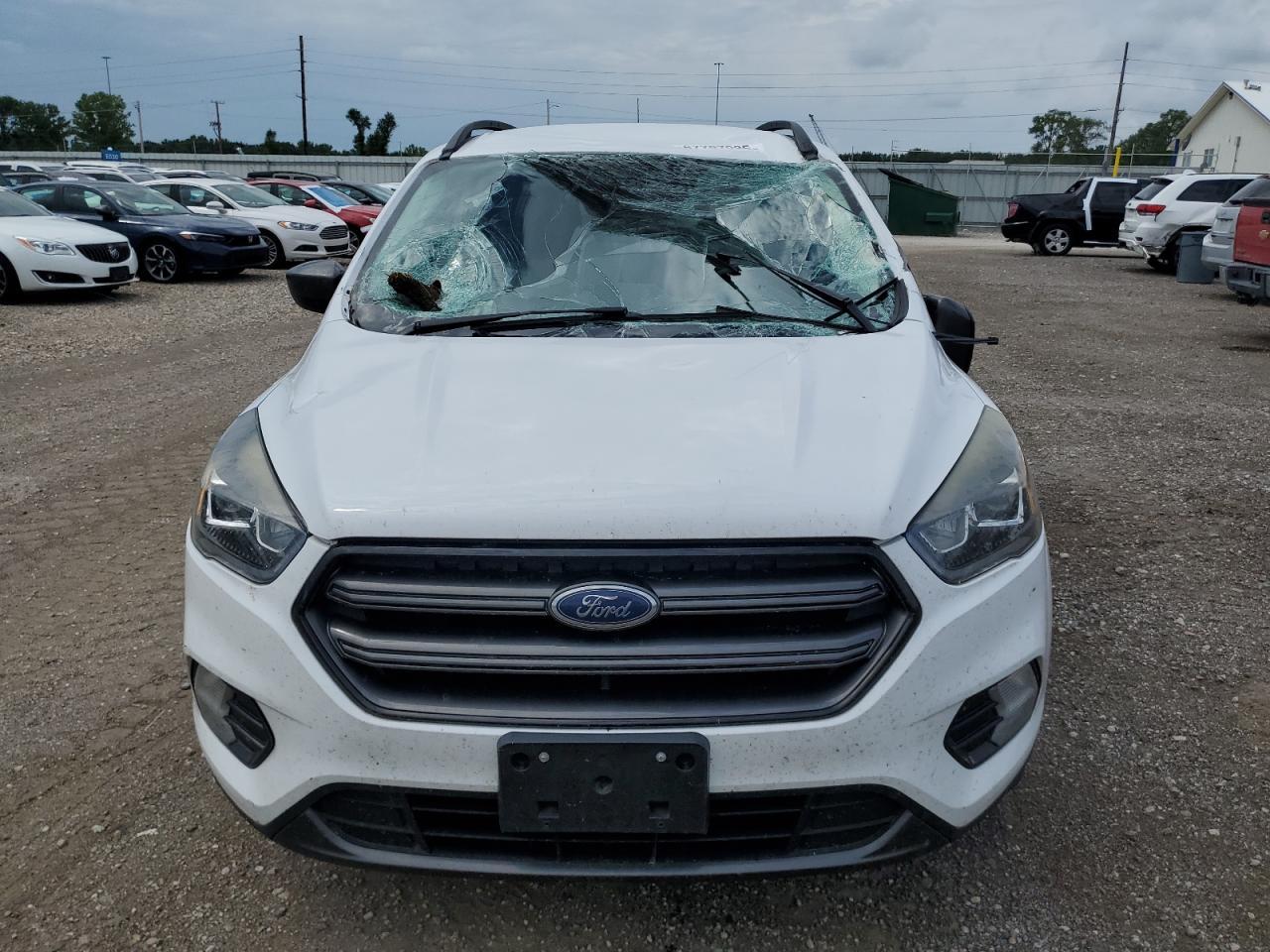 2019 Ford Escape Sel - Фото 5