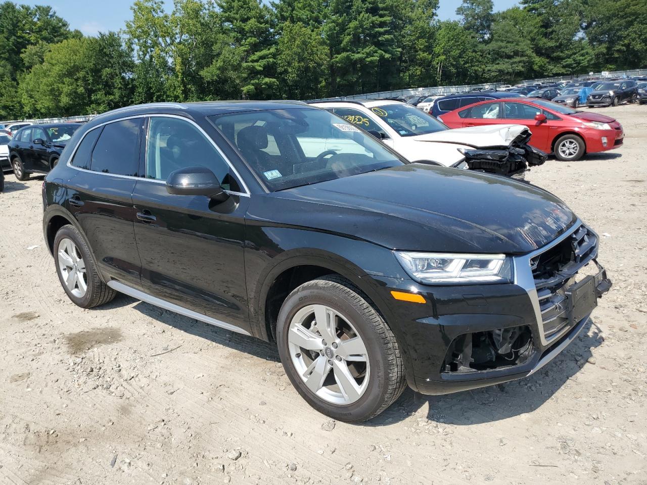 2019 Audi Q5 Premium Plus - Фото 4