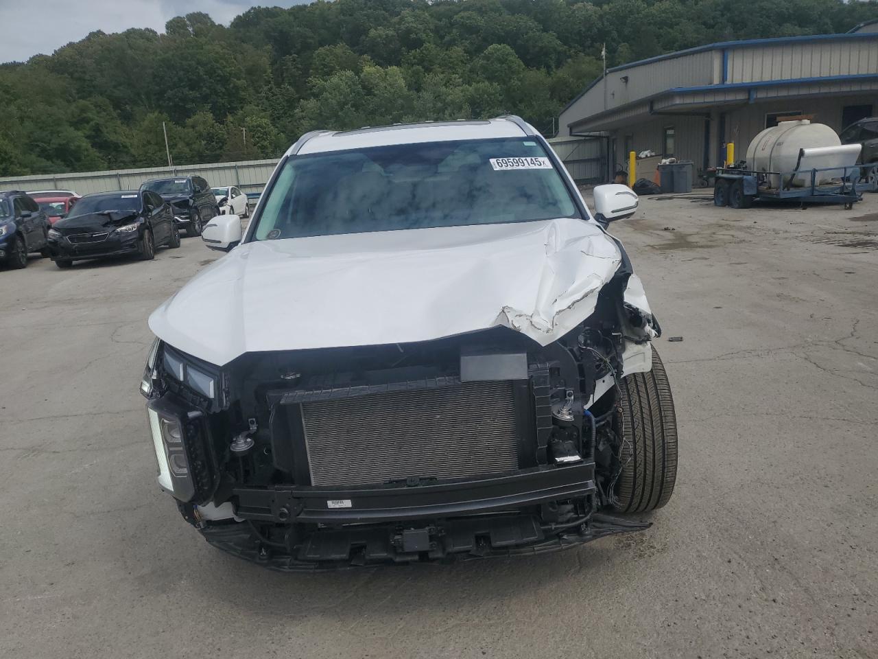 2024 Hyundai Palisade Calligraphy - Фото 5