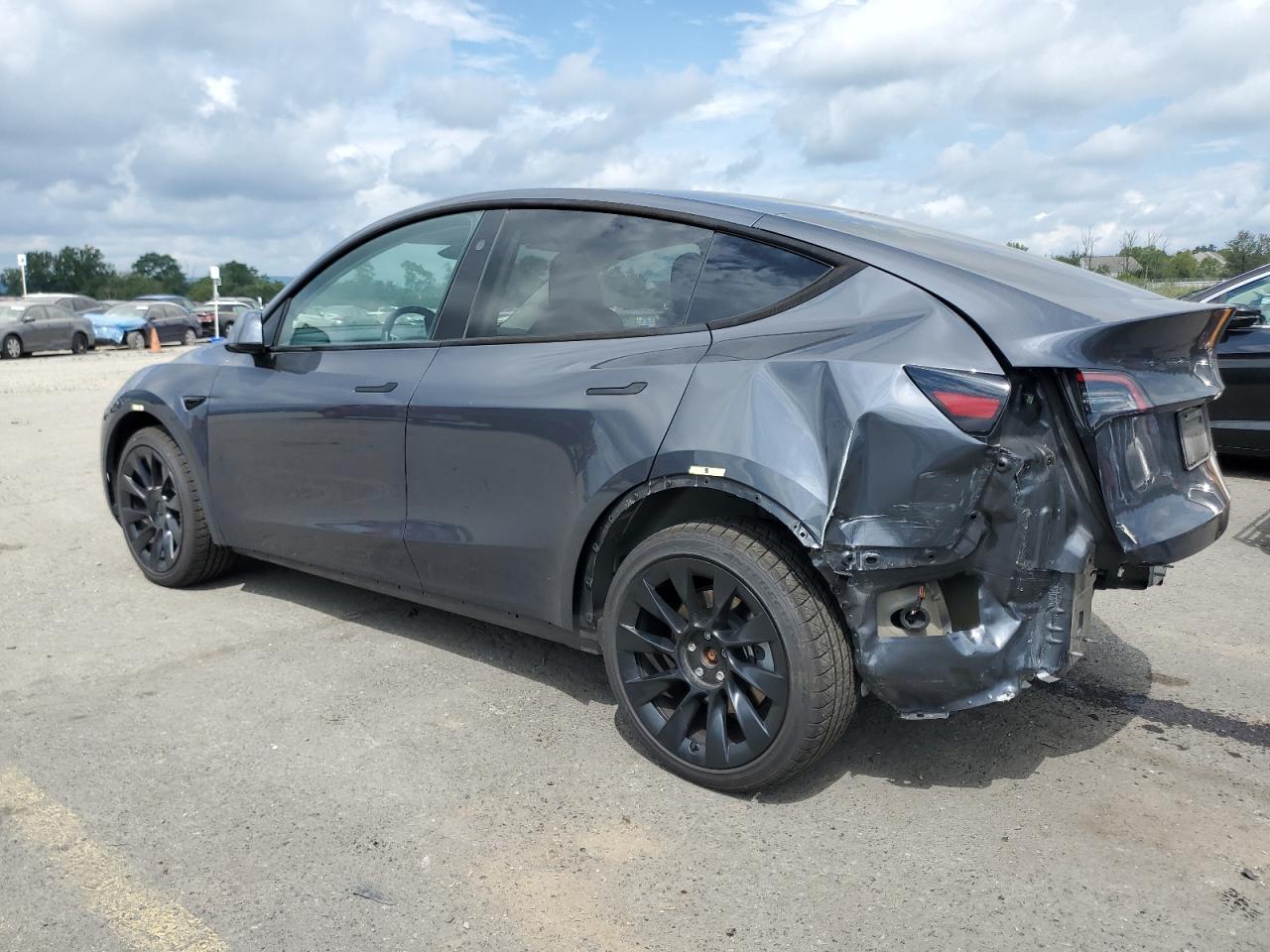 2023 Tesla Model Y - Фото 2
