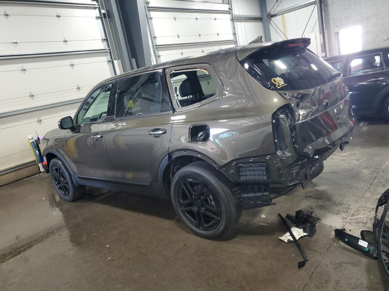 2025 Kia Telluride Sx - Image 2