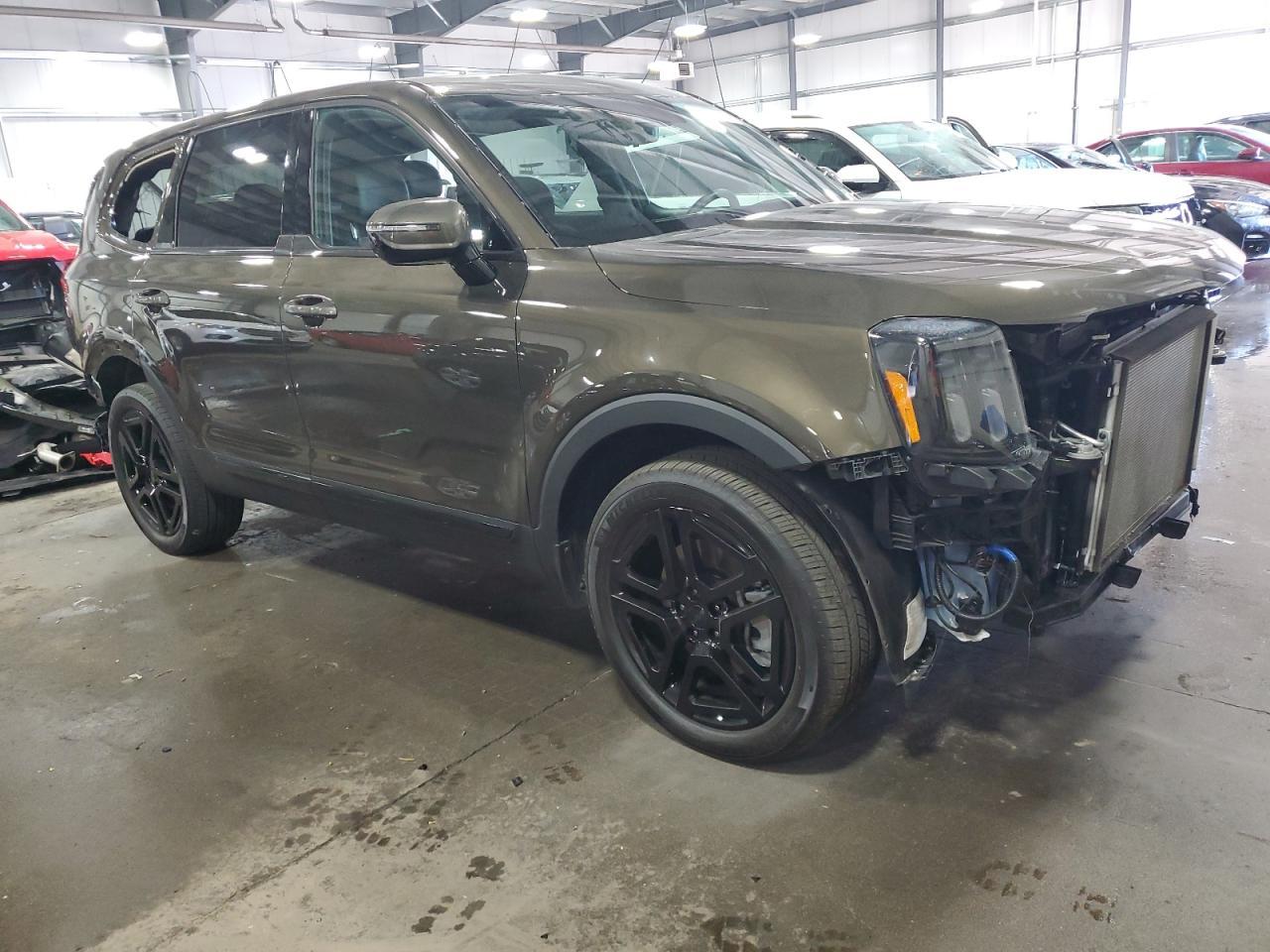 2025 Kia Telluride Sx - Image 4