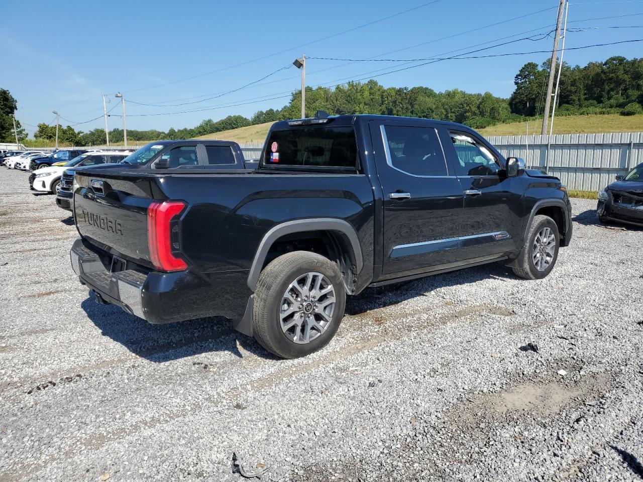 2024 Toyota Tundra Crewmax Platinum - Фото 3