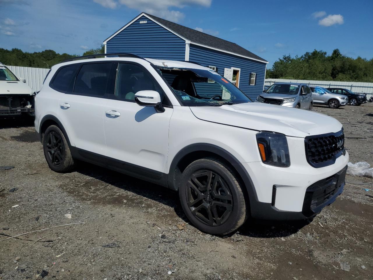 2024 Kia Telluride Sx - Фото 4