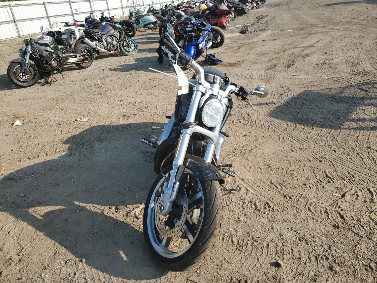 2015 Harley-Davidson Vrscf Vrod Muscle - Image 2